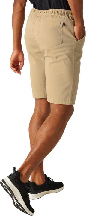Actual product image Regatta Mens Aldan Chino Shorts (32)