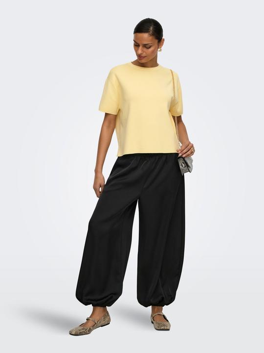 Image du produit JdY JDYASTRA Strickpullover Strickpullover (L)