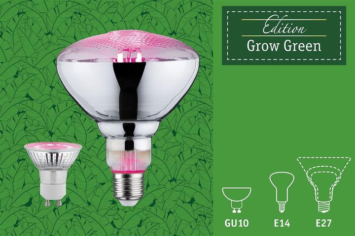 Image du produit Paulmann Lumière des plantes (GU10, 3.50 W, 95 lm, 1 x)