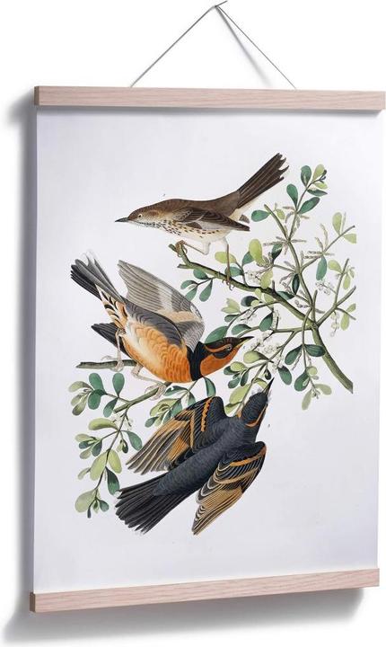 Immagine prodotto Trenddeko Tre strozzatori (40 x 50 cm)