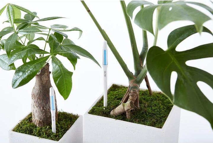 Actual product image SUStee Einzelpack Giessanzeiger S Weiss Weiss
