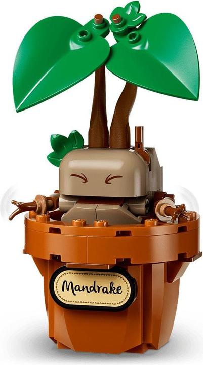 Produktbild LEGO Hogwarts Harry Potter Laufende Pflanzen (76474, LEGO Harry Potter)