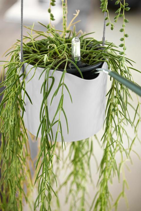 Produktbild Elho B.for Swing (18 x 170 cm)