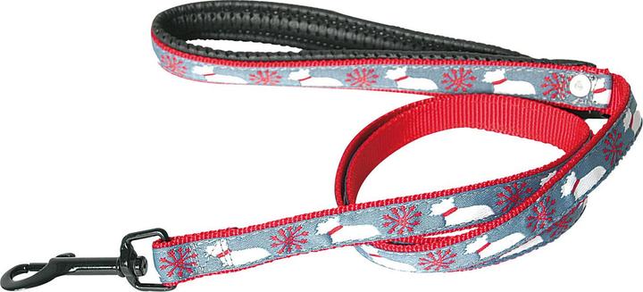 Produktbild Martin Sellier Scott Snow (Hund, Spazieren)