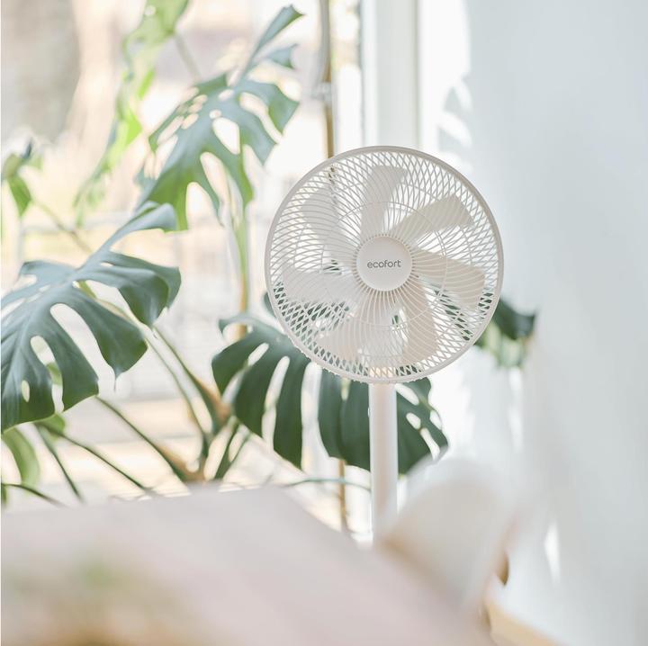 Immagine prodotto ecofort Standventilator ecoQ SilentAir Due+ Weiss (55 dB)