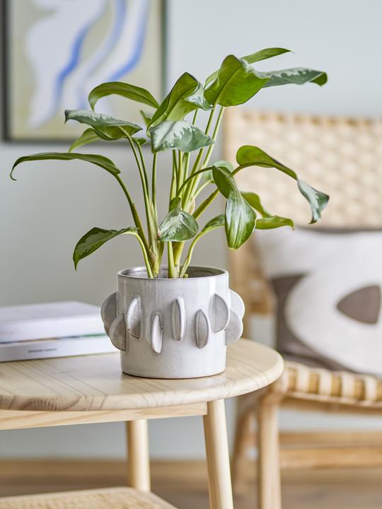 Image du produit Bloomingville Roza (18 x 13 cm)