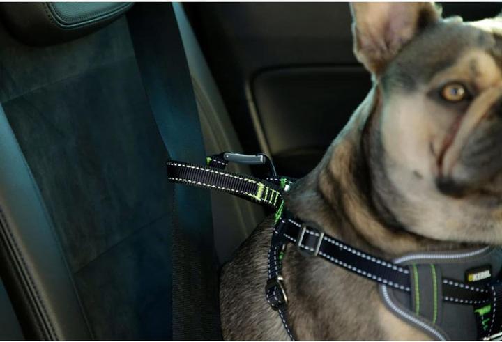 Produktbild Kerbl Autosicherheitsgeschirr (Hund, Faltbar, Sicherheitsverschluss)