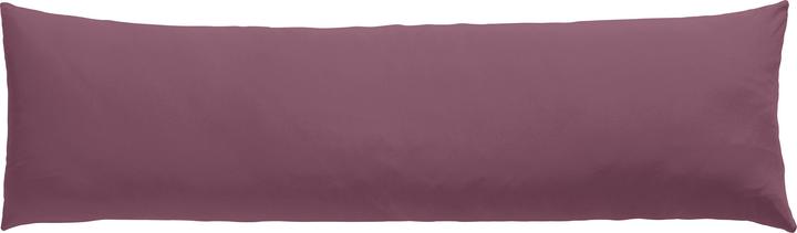 Aubergine
