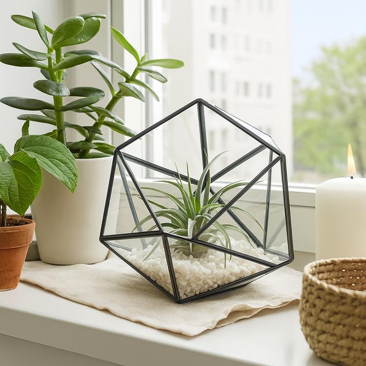 Produktbild Relaxdays Geometrisches Pflanzenterrarium aus Glas