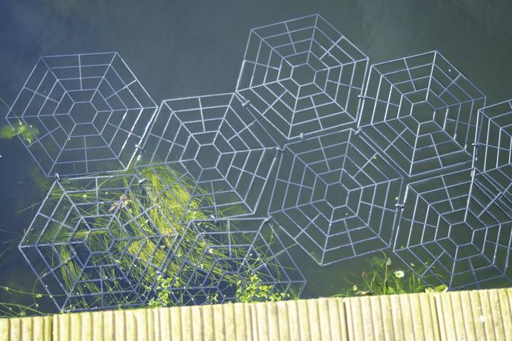 Actual product image Gardigo Bird repellent Pond Protectio