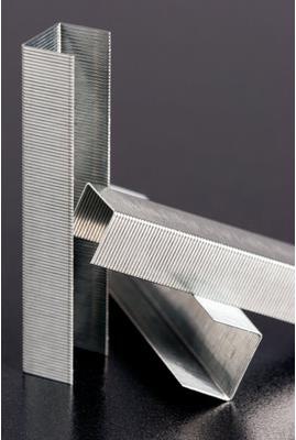 Actual product image Leitz Staples P5, 10mm, galvanized, 1000 pieces (1000 x)