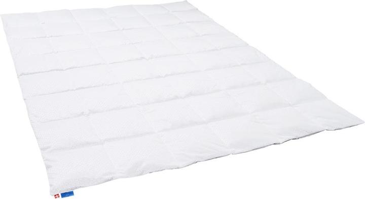 Immagine prodotto Dauny Climaactive Evolution (370 g, Piuma, 210 x 160 cm)