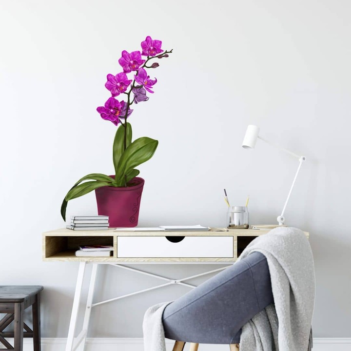 Produktbild Trenddeko Orchidee im Topf (65 x 110 cm)
