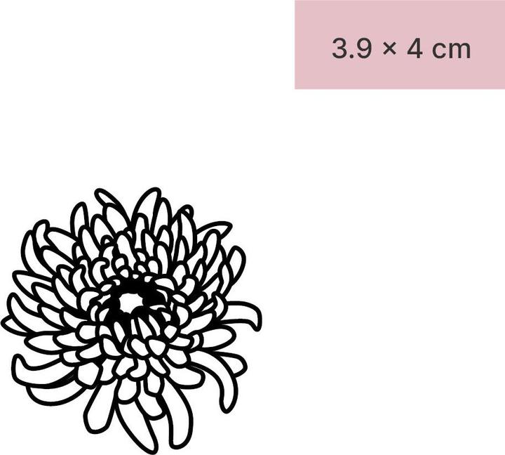 Actual product image minink Temporary tattoo - Chrysanthemum blossom