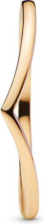Produktbild Pandora Shine Wishbone Ring (48)