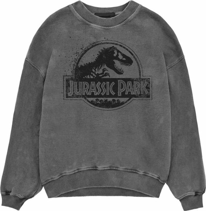 Immagine prodotto Jurassic Park Felpa (L)