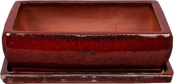 Actual product image Herstera Bonsai Kofun + Soucoupe (21 cm)