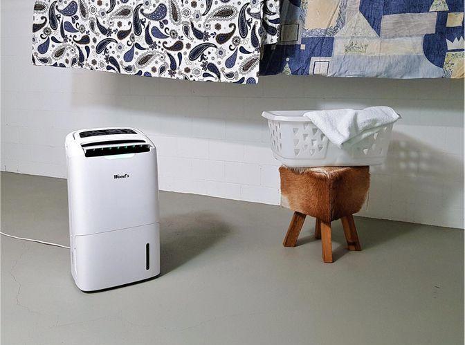 Actual product image Wood's Ad20 (100 m², 22 l/24h)