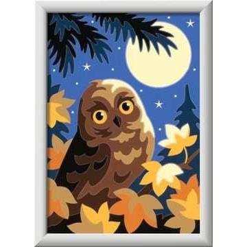 Thumbnail - Ravensburger CreArt Series E Classic - Owl in the moonlight