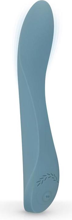 Actual product image Bloom Rose