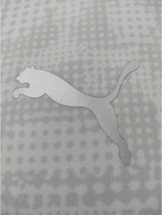 Image du produit Puma teamCUP Maillot d'entraînement (XL)