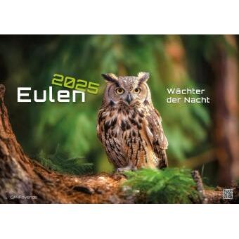 GP Fever, Agenda, Eulen - Wächter der Nacht - 2025 - Kale (Deutsch)