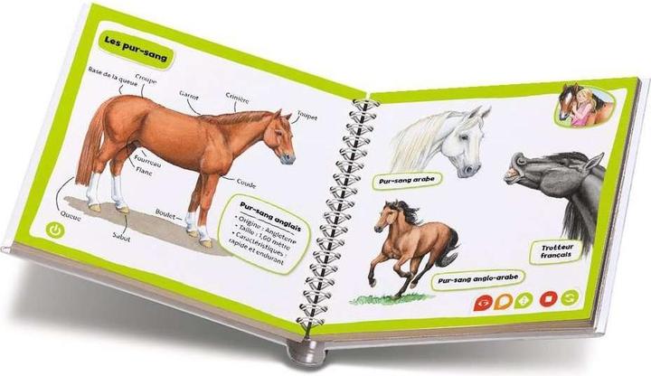 Produktbild Ravensburger tiptoi Mini Doc Chevaux et poneys (Französisch, 2024)