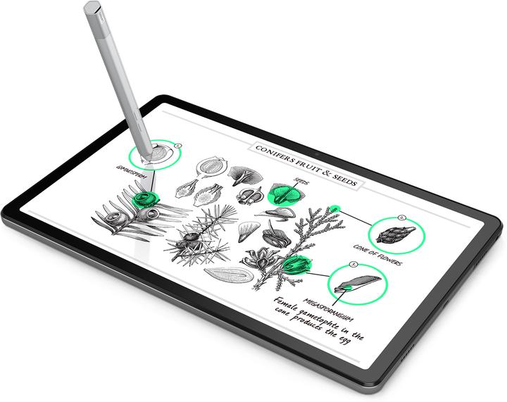 Image du produit Lenovo Tab M10 Plus Gen 3 (10.60", 64 Go, Storm Grey)