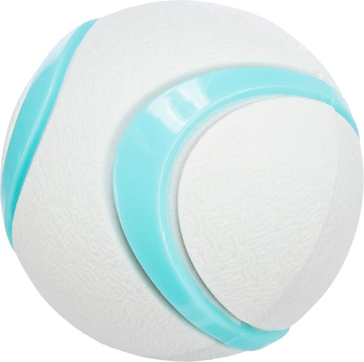Actual product image Trixie 33410, Dog, Ball, Multicolour, Thermoplastic Rubber (TPR), 6 cm (Dog chew toy)