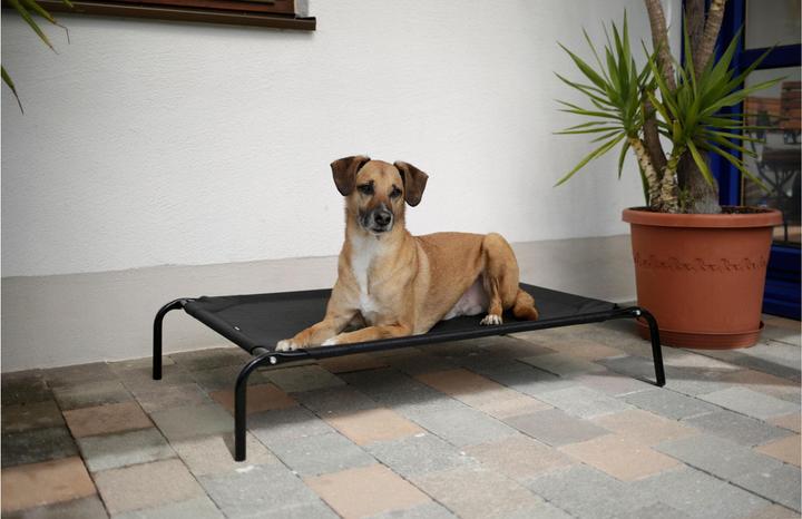 Produktbild Kerbl Vacation (Hund)