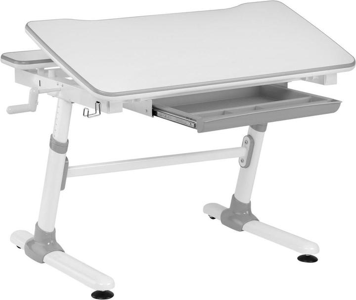 Image du produit Ergo Office Bureau (98 x 50 x 80 cm)