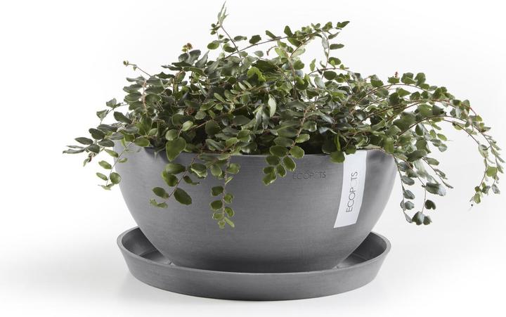 Produktbild Ecopots Saucer Round