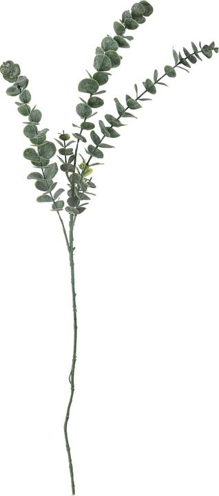 Immagine prodotto Bloomingville Eucalyptus (76 cm)