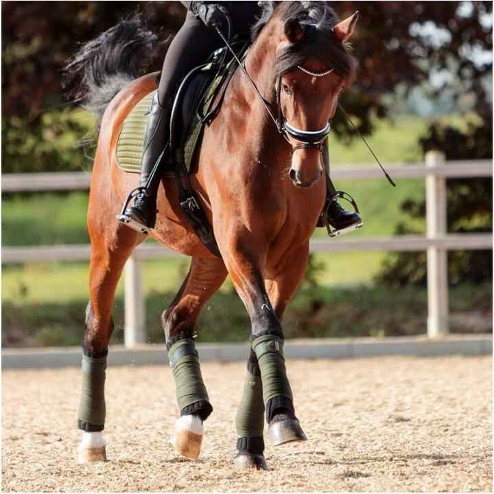 Actual product image Kavalkade Klimatex