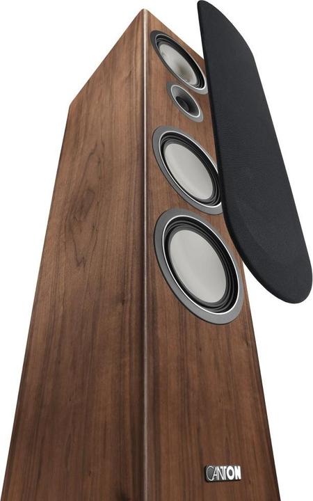 Actual product image Canton Townus 90 (1 pcs., 300 W)