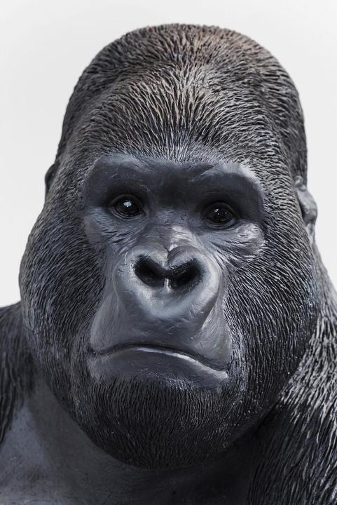 Immagine prodotto Kare Design gorilla