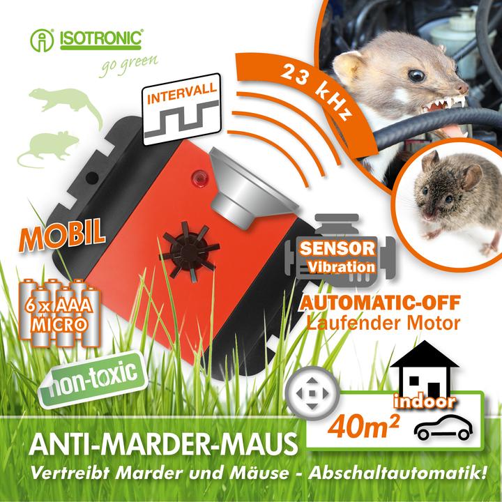 Actual product image HP Autozubehör Marten Free " Mobile "