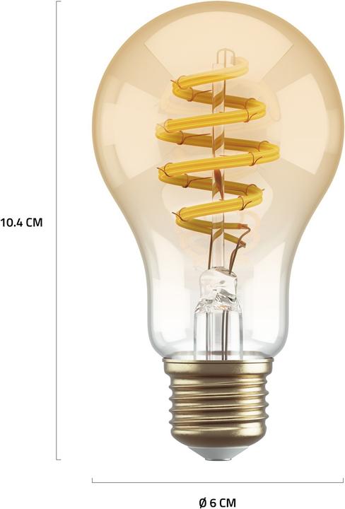 Energy Label Hombli Filament Bulb CCT A60 (E27, 5.50 W, 300 lm, 1 x, G)