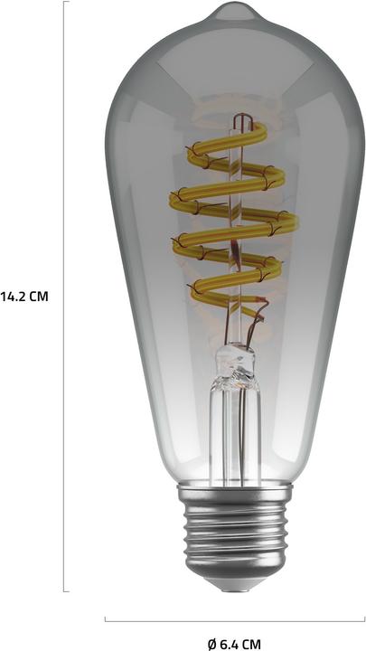 Actual product image Hombli Filament Bulb CCT E27 ST64 (E27, 5.50 W, 180 lm, 1 x, G)