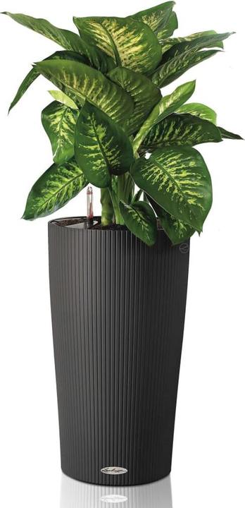 Produktbild Lechuza Cilindro 32 (32 x 56 cm)