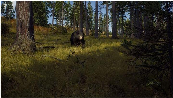 Image du produit THQ Way of the Hunter - Chasse Saison 1 (Xbox Series X, EN)