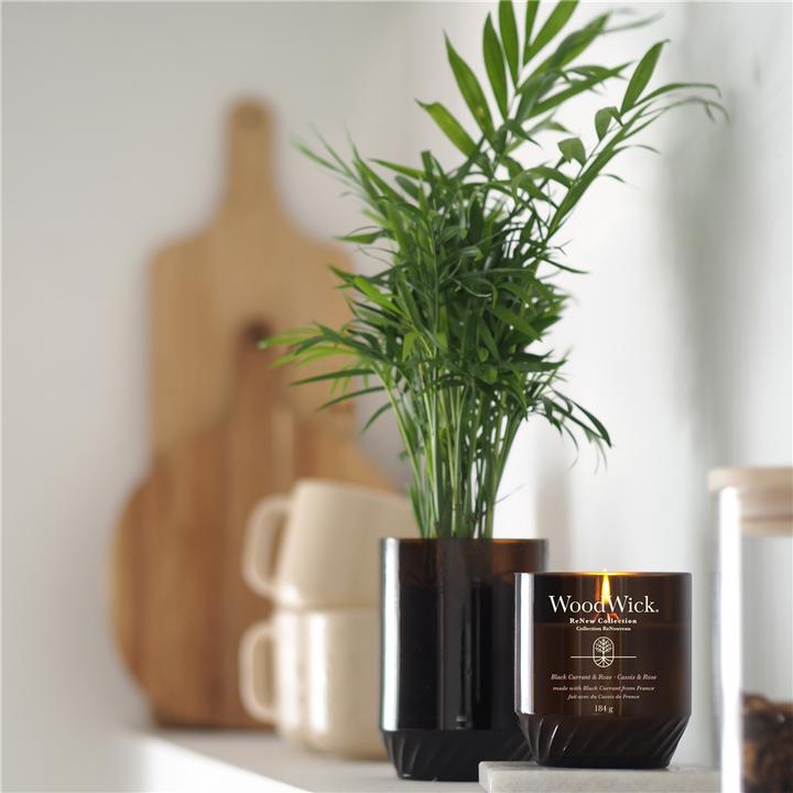 Produktbild WoodWick Black Currant & Rose (184 g)