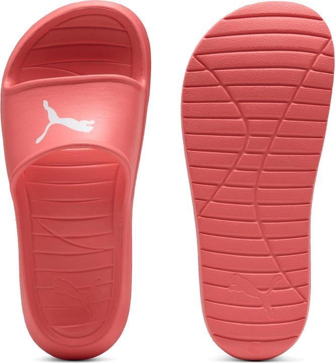 Image du produit Puma Divecat v2 Lite Cat (39)
