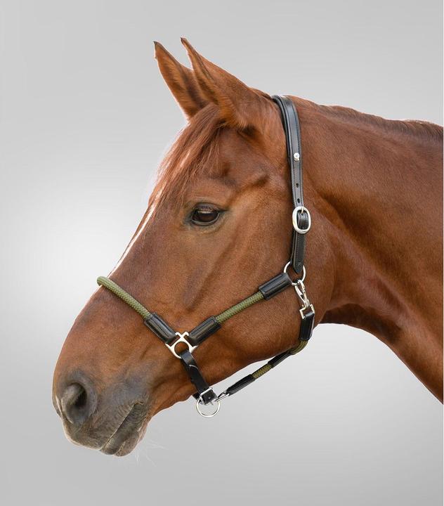 Actual product image Waldhausen X-Line Nevada