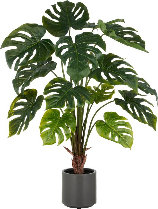 Disco Möbel Kunstpflanze Split Philodendron (100 cm)