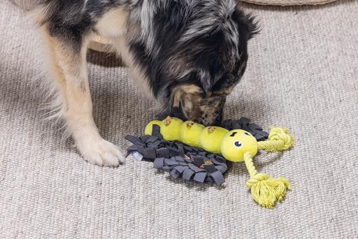 Immagine prodotto Beeztees Nascondino e farfalla (Cane di peluche)