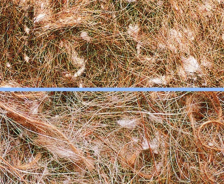 Produktbild Nobby Nistmaterial Animale Vegetale