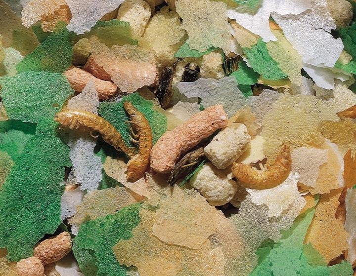 Nobby Mix des Flocons pour étang (3000 ml)