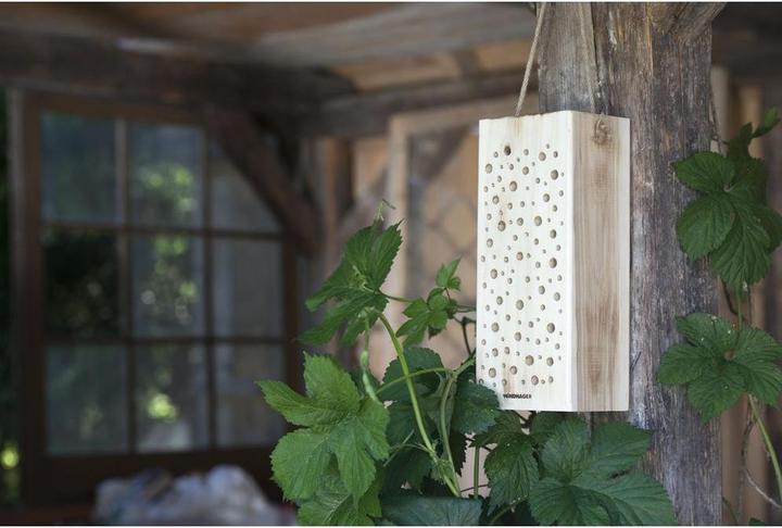 Immagine prodotto Windhager Legno d'ape selvatica (Api)