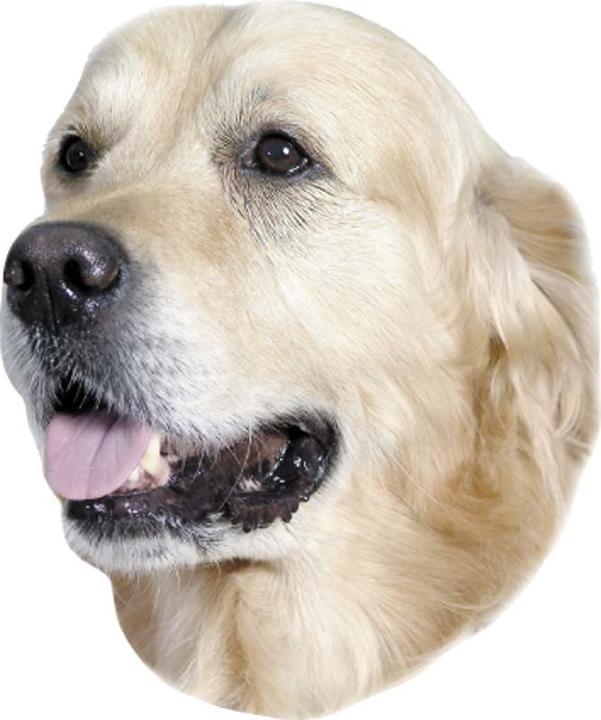 Nobby Aufkleber Golden Retriever